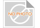 PVC HDF 복합체 주거 WPC 문 목재형 패널 계획